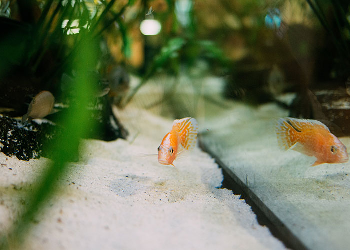 30 In-Laws Share The Exact Moment They Understood That Their Relative’s Marriage Wouldn’t Last