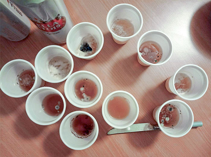 My Roommates Are Too Lazy To Clean Up. Here's Last Week's Beer Pong