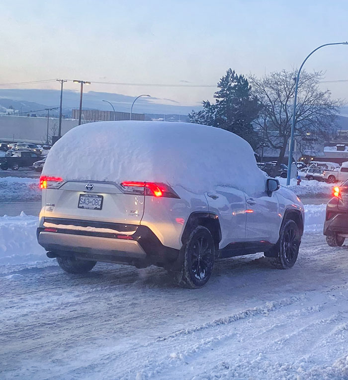 Meanwhile Here In Victoria