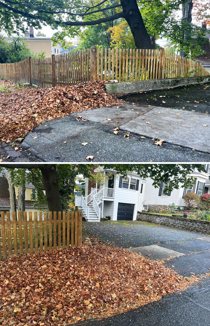 How My Neighbor's Landscapers Cleared The Leaves From Her Property. My Property Starts At The Fence Line