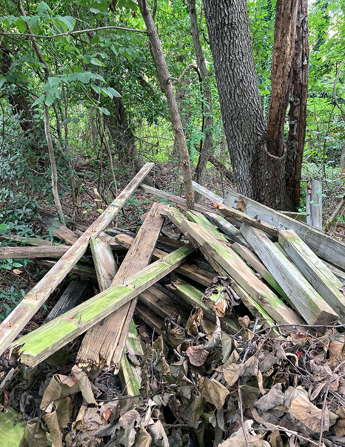 Next-Door Neighbor Took Down His Deck And Put The Old Boards With Rusty Nails Sticking Out In The Woods Where My Kids Play In