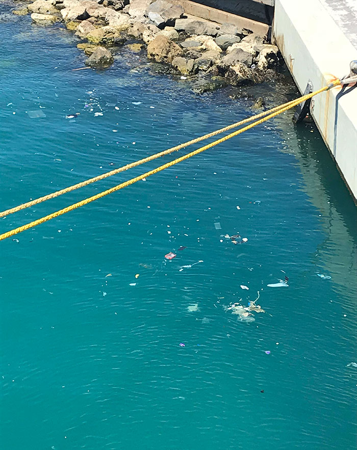 I Went On A Cruise In Spain. It Was Beautiful, And I Had A Great Time. But, Everywhere We Went, There Was Just Garbage In The Ocean, And I Actively Saw People Throwing More In