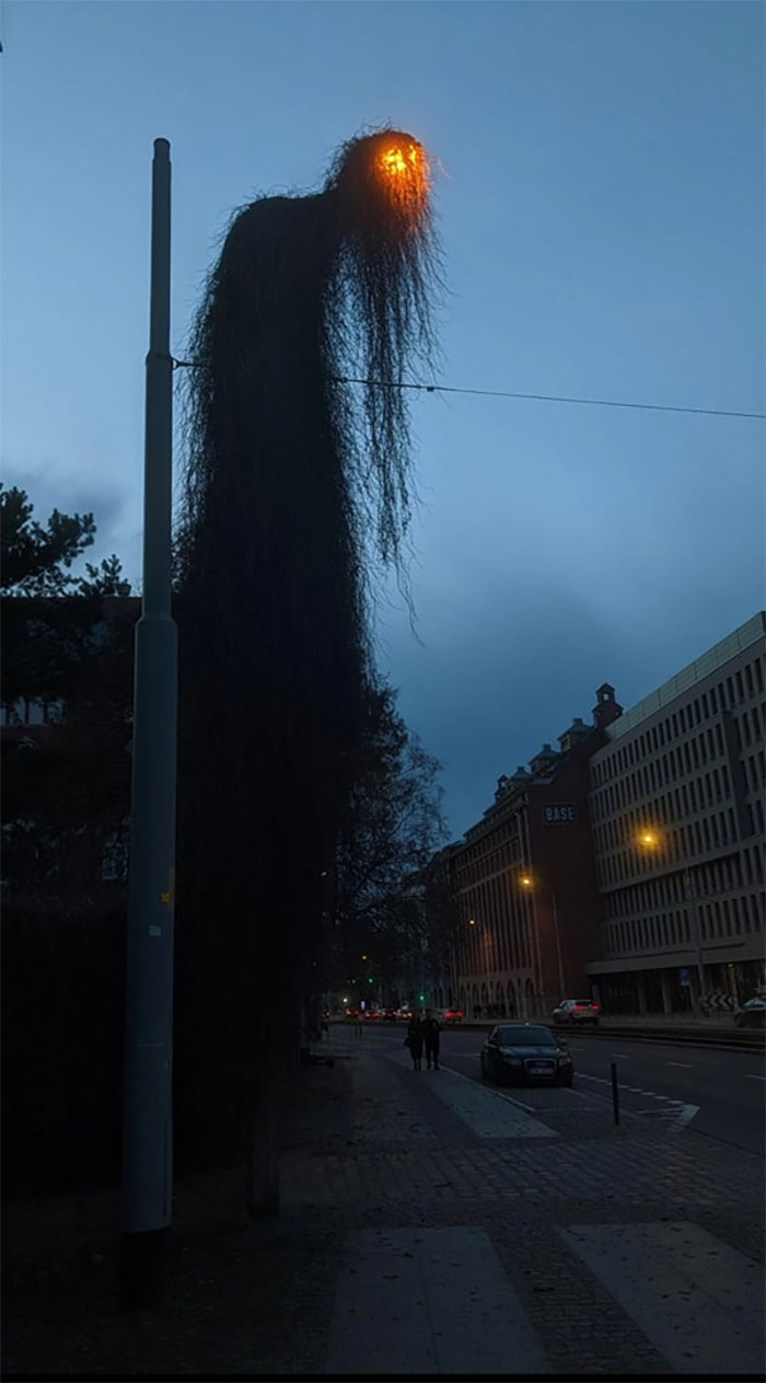 Eerie Surrealism In Nature