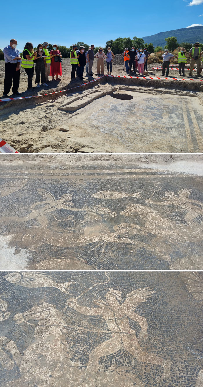 Archaeologists In Northern Spain Accidentally Uncovered A 2,000-Year-Old Roman City That Had Been Completely Lost To History