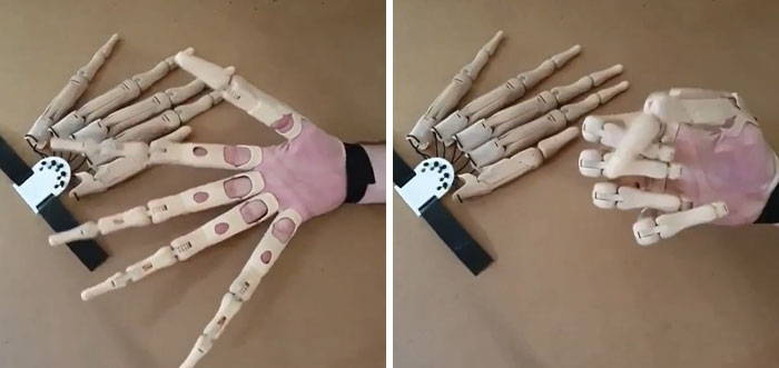 Articulated Finger Extensions