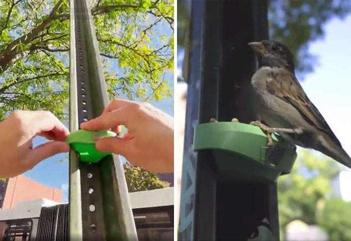 A Bird Feeder That Fits In The Metal Extrusion Of A Stop Sign