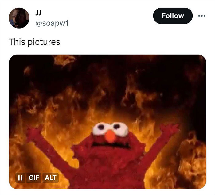 Joe-Biden-81-Birthday-Cake