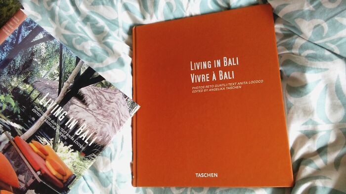 The Feeling When Your Book Has A Beautiful Solid-Color Cover Underneath The Original One