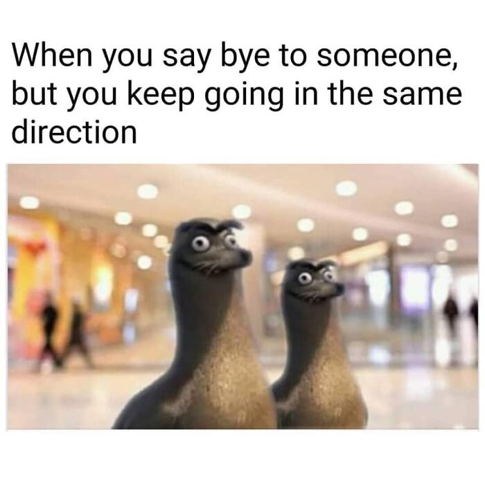 Laughing-At-My-Own-Memes