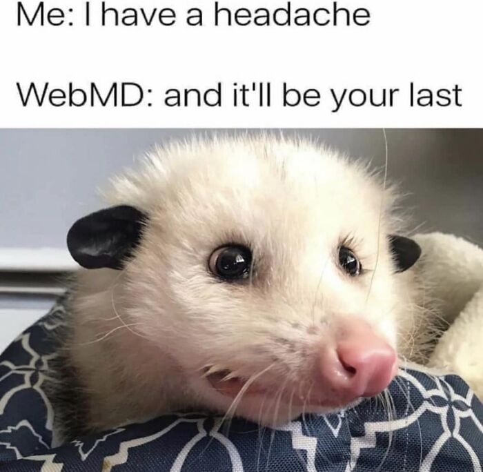 Laughing-At-My-Own-Memes