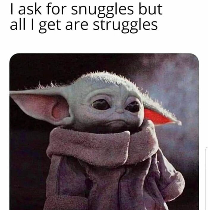 Laughing-At-My-Own-Memes