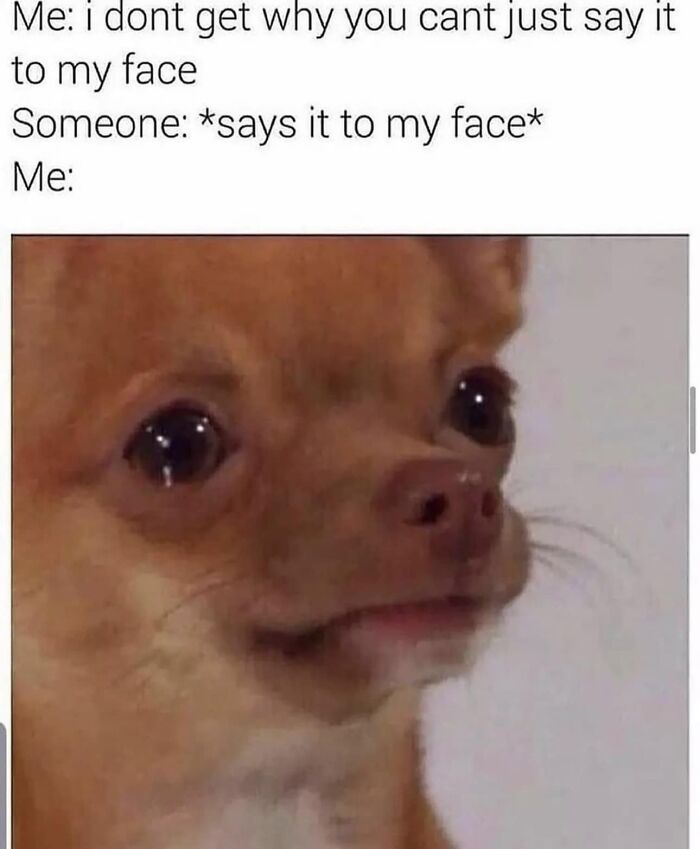 Laughing-At-My-Own-Memes