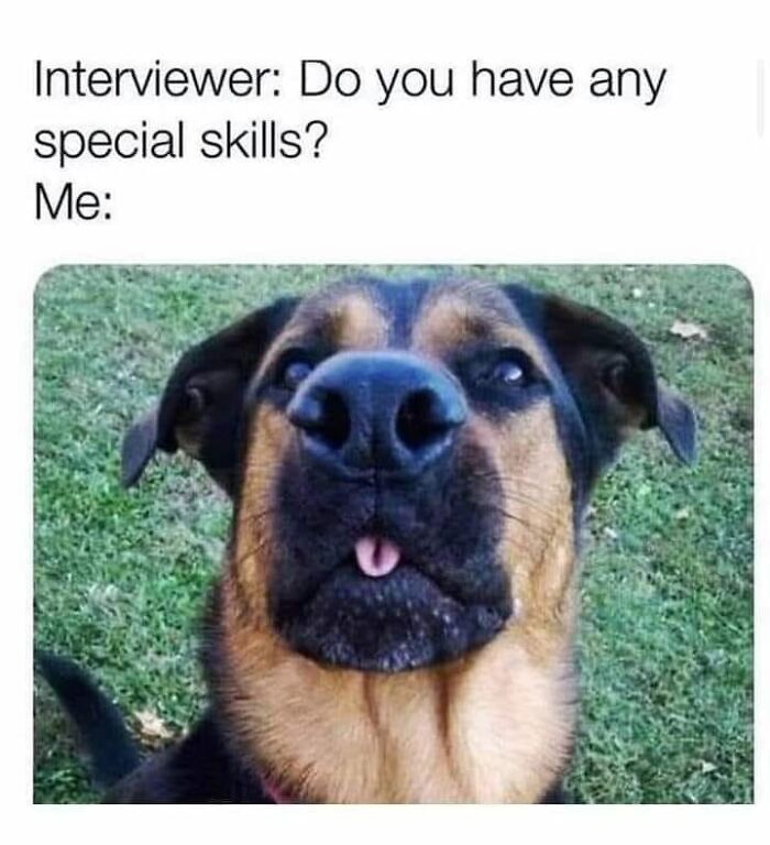 Funny meme of a dog sticking out tongue in response to interview question about special skills, relatable humor content.