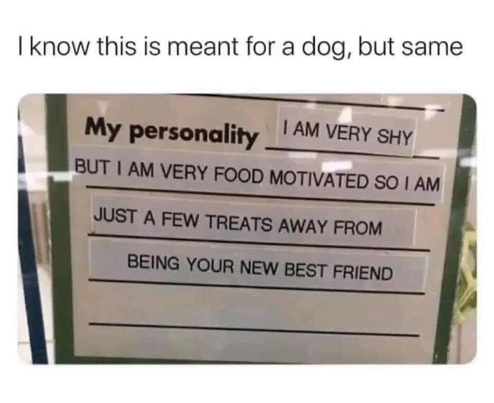 Laughing-At-My-Own-Memes