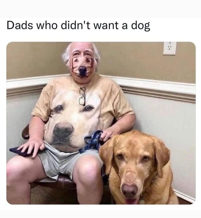 Laughing-At-My-Own-Memes