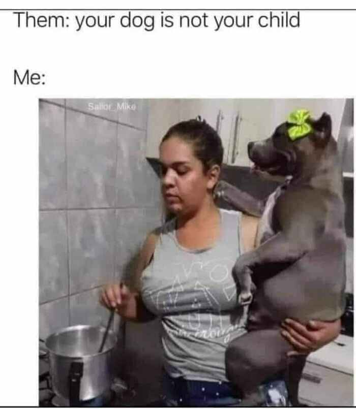 Laughing-At-My-Own-Memes