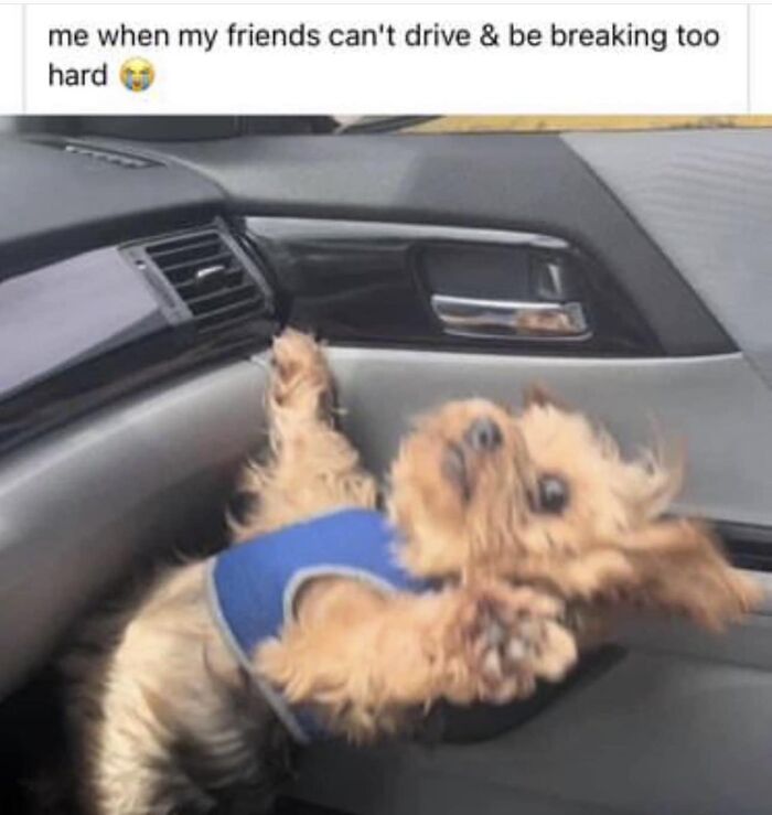 Laughing-At-My-Own-Memes