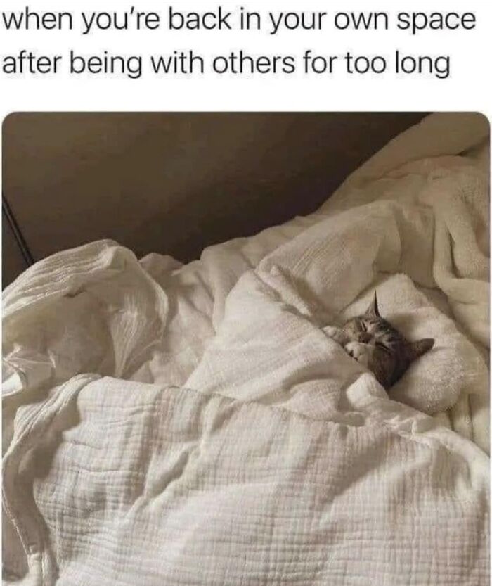 Cat comfortably wrapped in blankets on bed illustrating funny memes that are painfully relatable about personal space.
