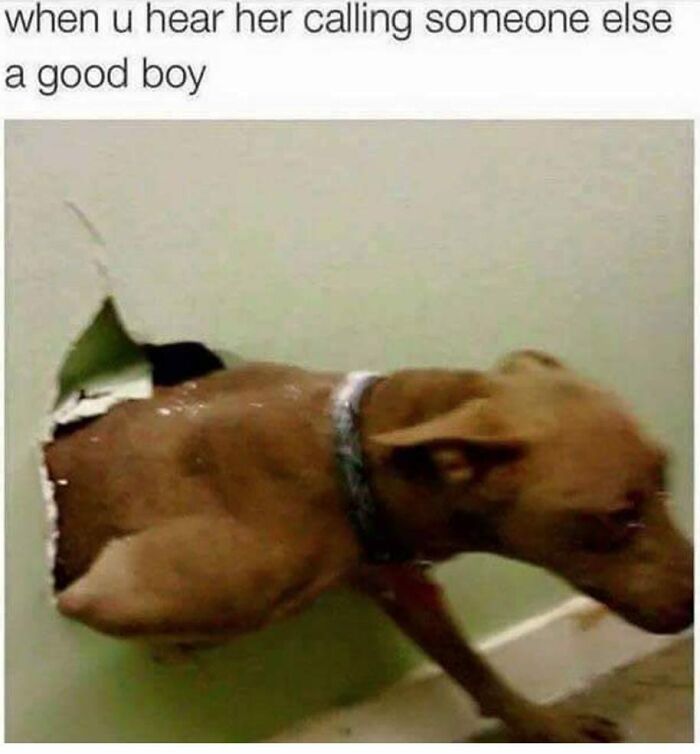 Laughing-At-My-Own-Memes