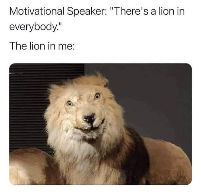 Laughing-At-My-Own-Memes