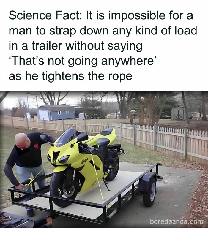 Laughing-At-My-Own-Memes