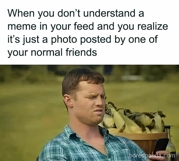 Laughing-At-My-Own-Memes