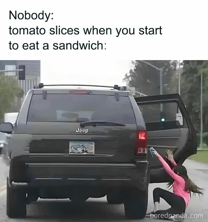 Person falling out of a car door, illustrating a funny meme that is painfully relatable and humorous.