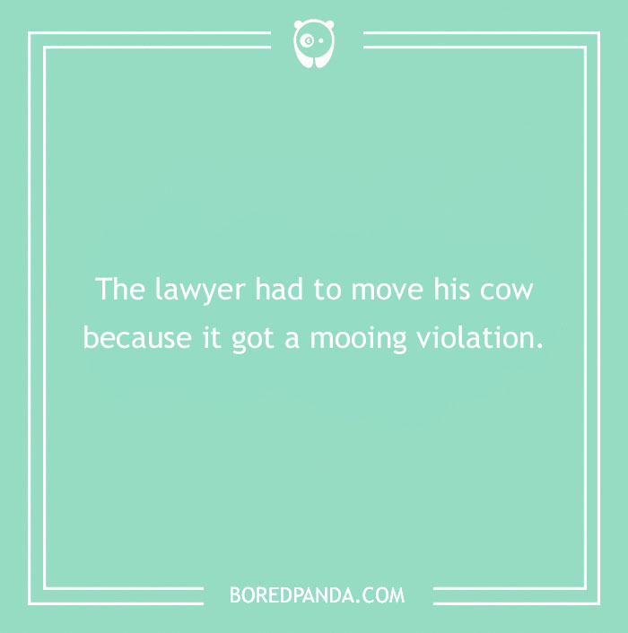 174 Lawyer Jokes That Are Legally Bound To Entertain You
