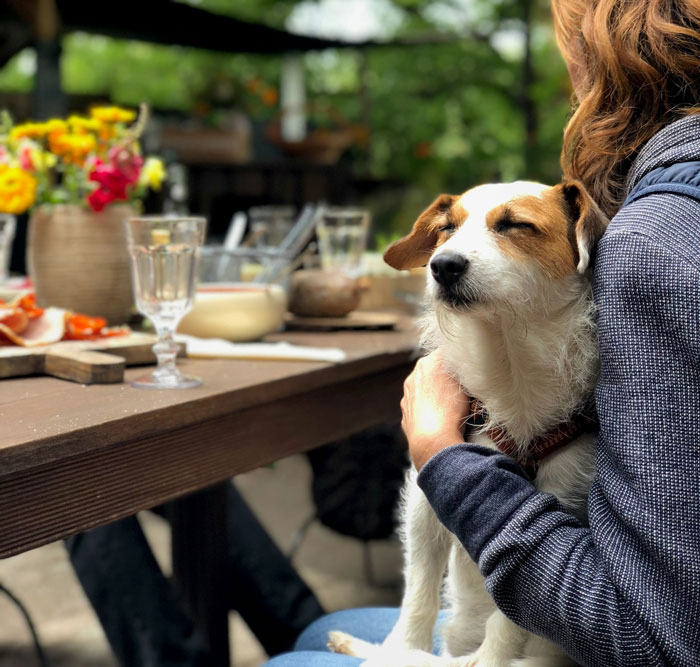 "[Am I The Jerk] For Leaving When Our Friends Brought Their Dog To Dinner?"