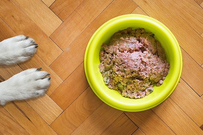 Dog's paws beside a yellow bowl of liver on a wooden floor.