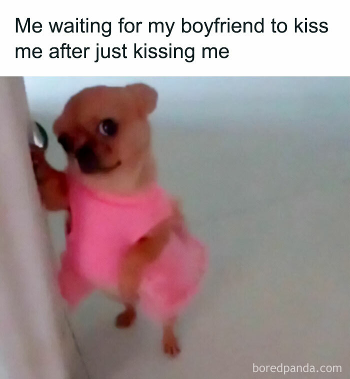 Cute dog in a pink dress humorously mimics a funny couple meme, waiting for a kiss by the door.