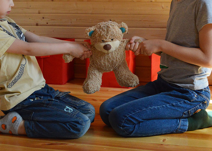 &ldquo;AITA For Telling My Wife We Can Adopt Her Nephews But Not Her Niece?&rdquo;