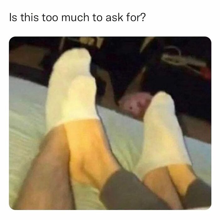 Funny-Relatable-Memes-Memegoates