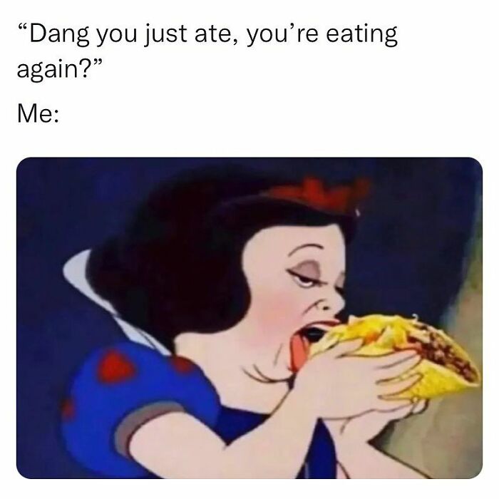 Funny-Relatable-Memes-Memegoates