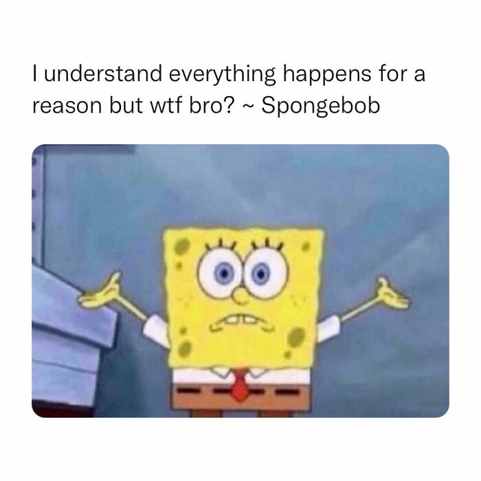 Funny-Relatable-Memes-Memegoates