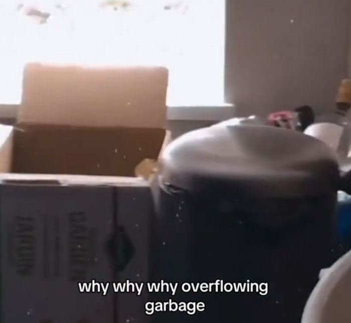 Mom Shares A Video Of Her House Being Wrecked When She Returns Home, Viewers Tell Her To Run