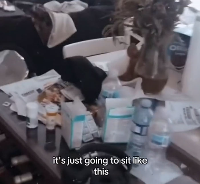 Mom Shares A Video Of Her House Being Wrecked When She Returns Home, Viewers Tell Her To Run