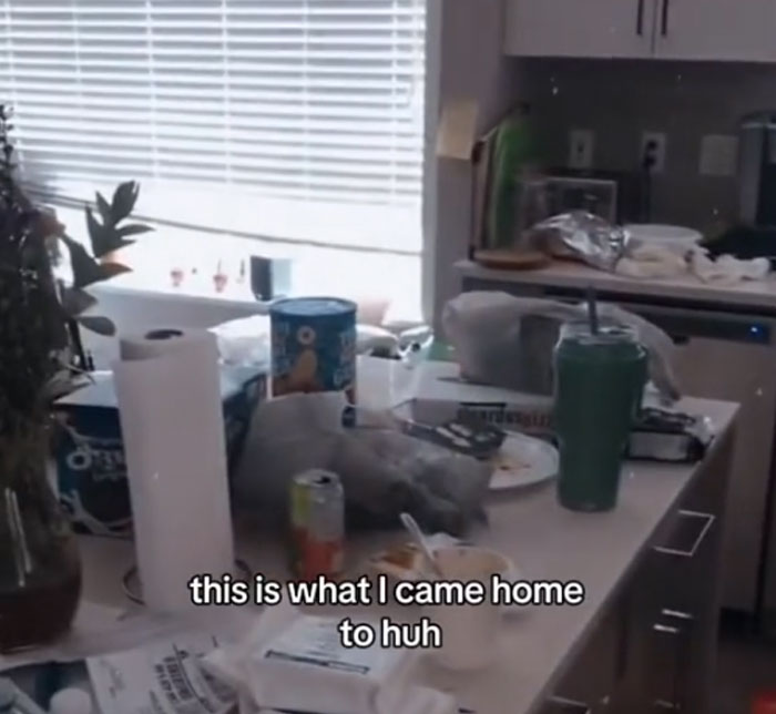 Mom Shares A Video Of Her House Being Wrecked When She Returns Home, Viewers Tell Her To Run