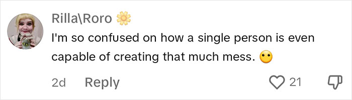 Mom Shares A Video Of Her House Being Wrecked When She Returns Home, Viewers Tell Her To Run