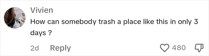 Mom Shares A Video Of Her House Being Wrecked When She Returns Home, Viewers Tell Her To Run