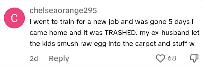 Mom Shares A Video Of Her House Being Wrecked When She Returns Home, Viewers Tell Her To Run