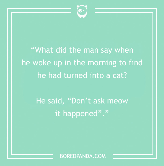Text on a teal background with a morning joke about a man turning into a cat, featuring a pun on "meow".