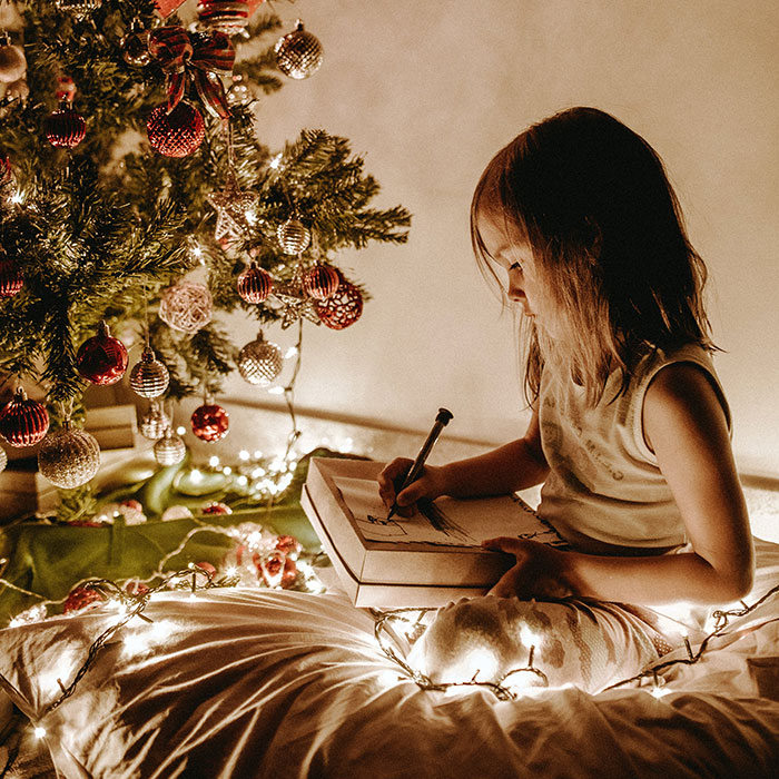 MIL Tells Granddaughter Santa “Isn’t Real”, Gets Arrested After Things Escalate MIL Tells Granddaughter Santa “Isn’t Real”, Gets Arrested After Things Escalate