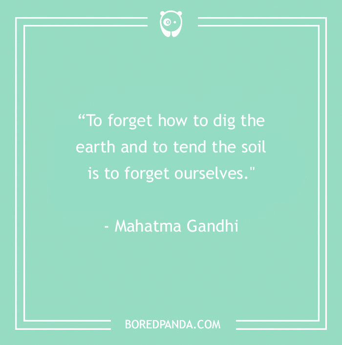 141 Nature Quotes To Help You Appreciate The Outdoors