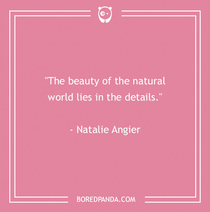 141 Nature Quotes To Help You Appreciate The Outdoors