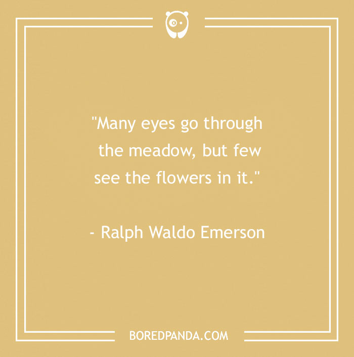 141 Nature Quotes To Help You Appreciate The Outdoors