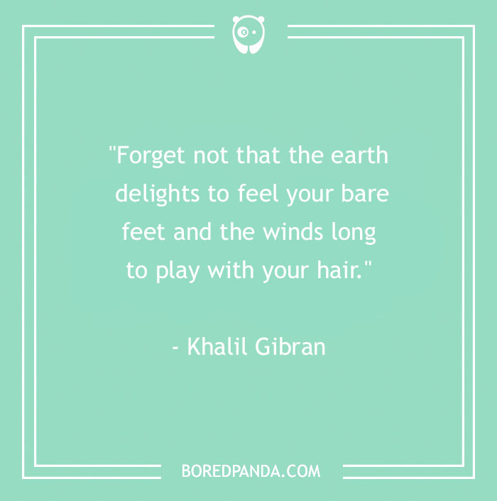 141 Nature Quotes To Help You Appreciate The Outdoors