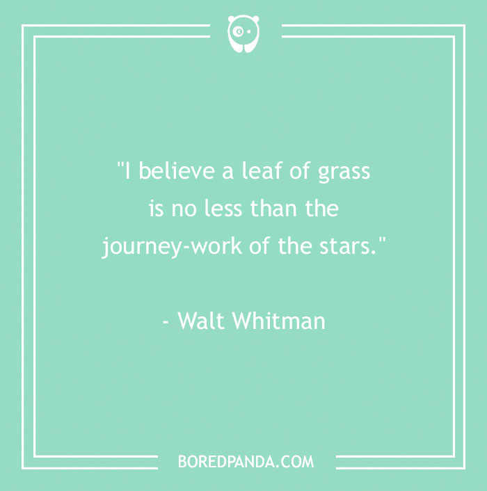 141 Nature Quotes To Help You Appreciate The Outdoors