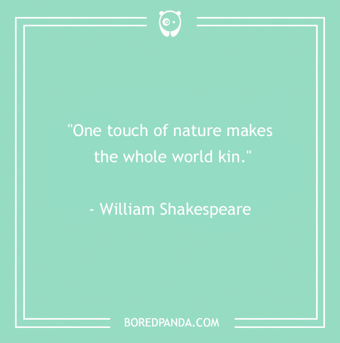 141 Nature Quotes To Help You Appreciate The Outdoors