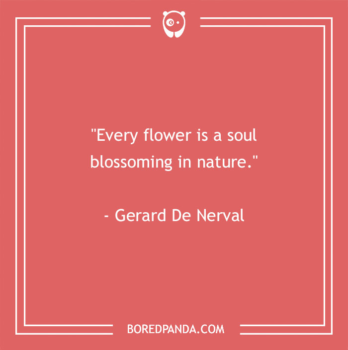 141 Nature Quotes To Help You Appreciate The Outdoors